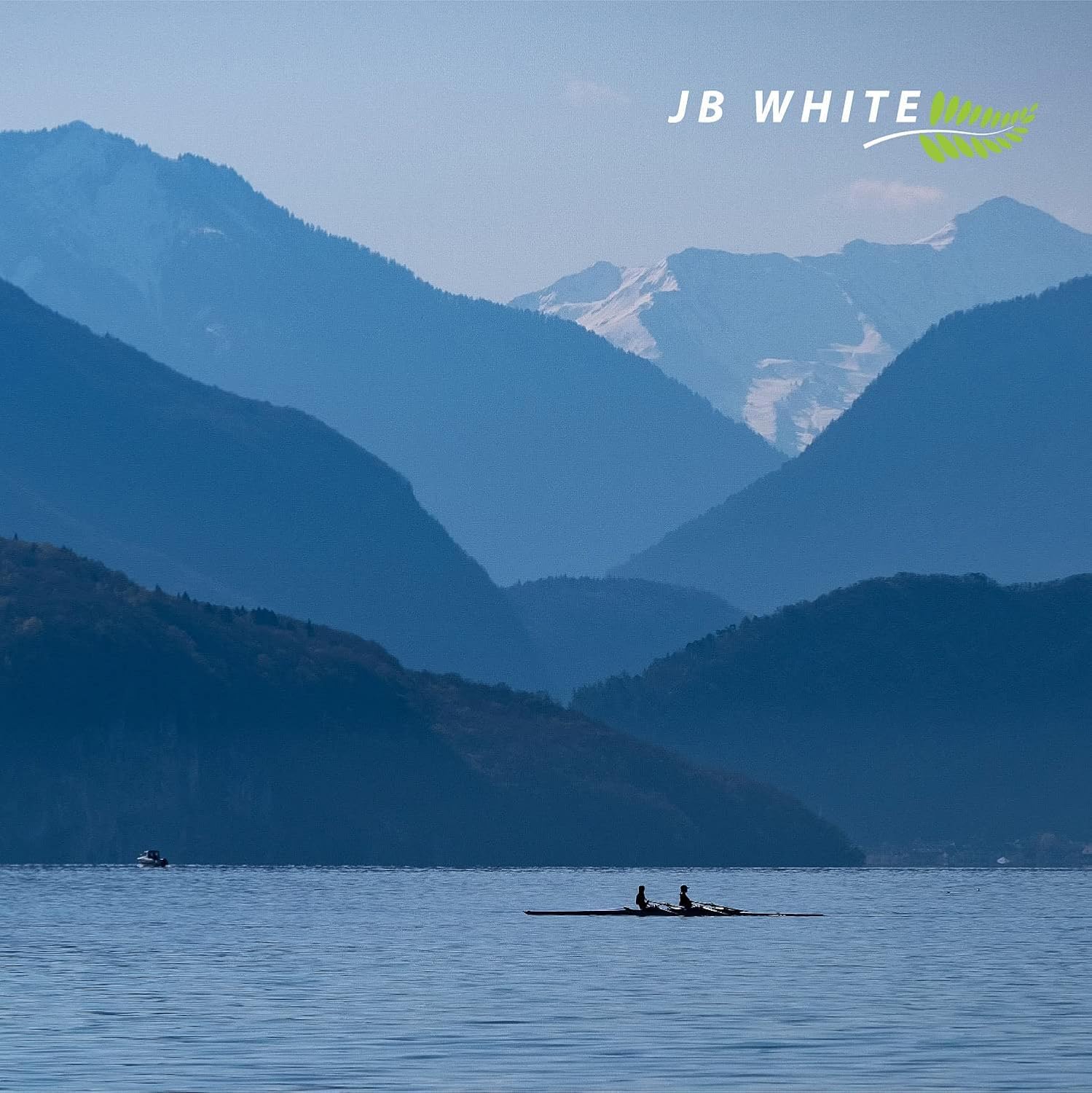 JB White Puritabs Sterinova 120x Wasser Rudergerät Tabletten gegen Algen, extra konzentriert, Chlortabletten zB geeignet für WaterRower, SportPlus, Skandika Wasserrudergerät (20 x 6)