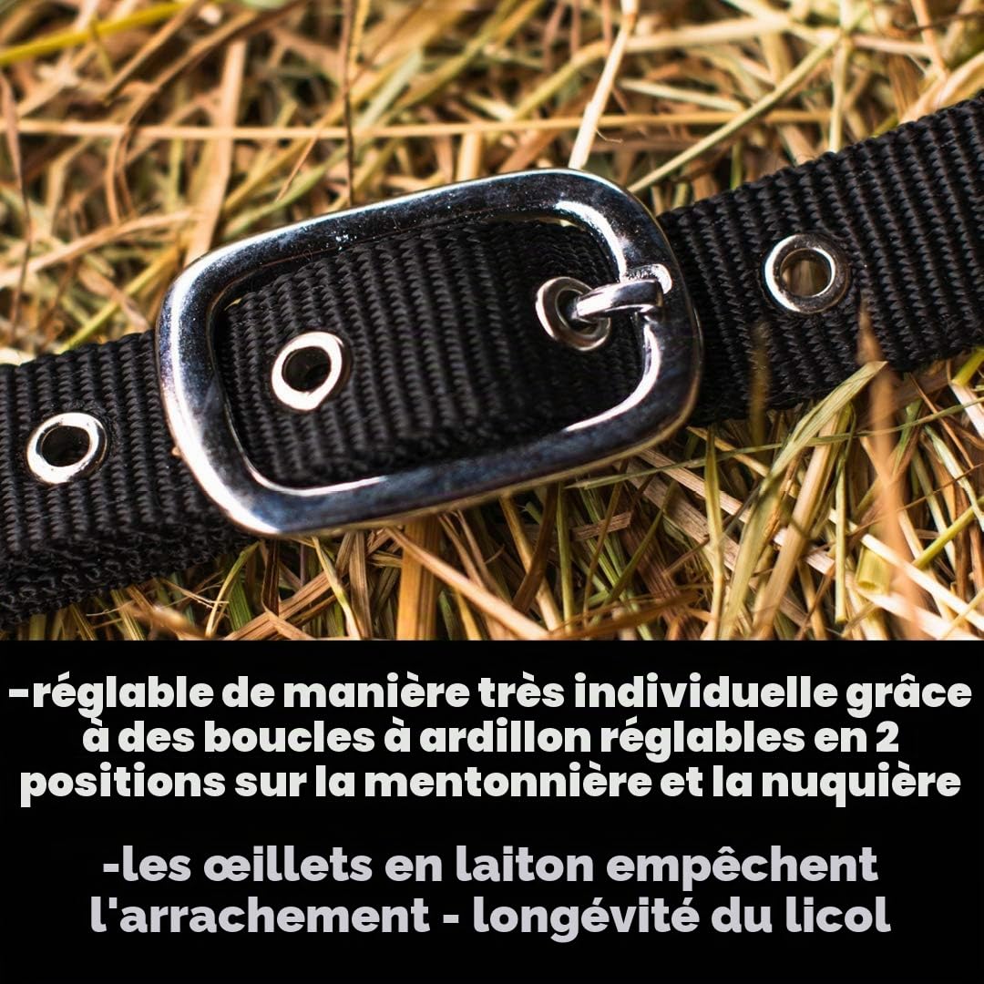 Pferdelinis Licol pour Warmblut, Vollblut, Kaltblut, Pony – Licol d’écurie, licol de pâturage, boucles à ardillon réglables 2 fois, sûr et résistant (Noir, Vollblut (Cob))