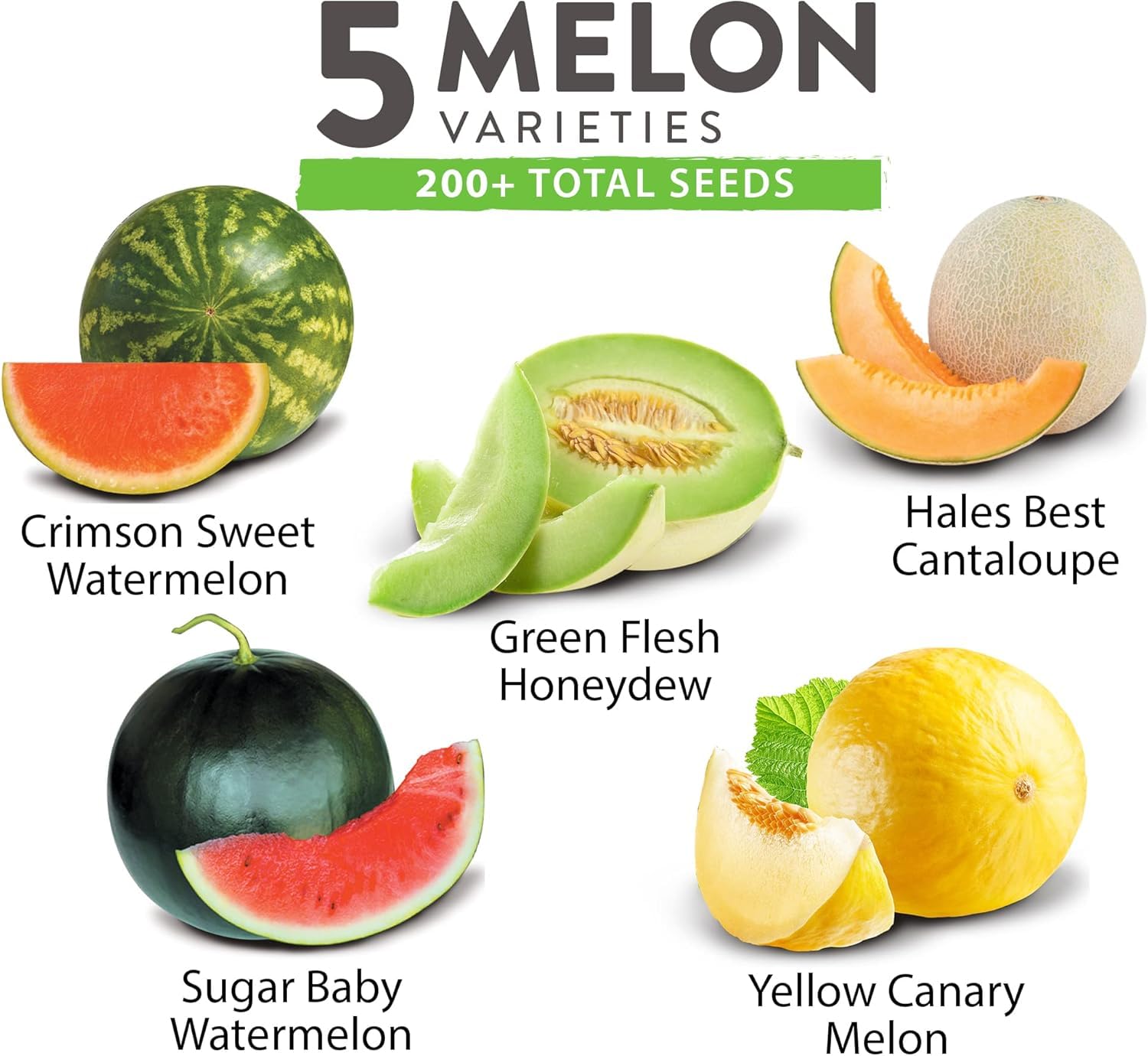 Paquete variado de semillas de melón, 5 semillas de frutas tradicionales: sandía, melón, melón, azúcar bebé y melón, alta germinación para plantar el jardín en interiores 2
