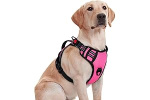 Rabbitgoo No Pull Dog Harness: Walking Your Furry Buddy with Comfort and Control
