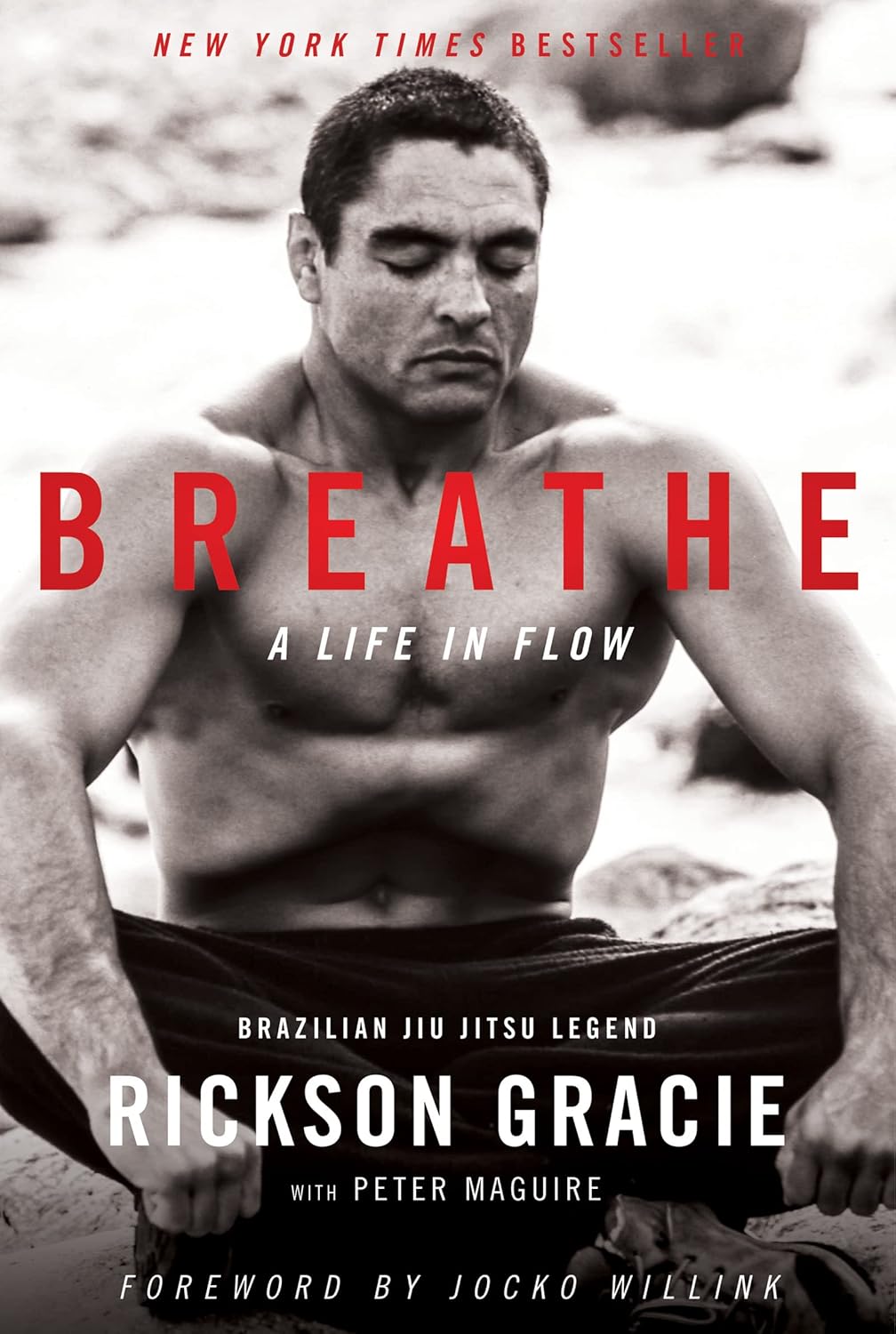 Buy Breathe A Life in Flow Book Online at Low Prices in India