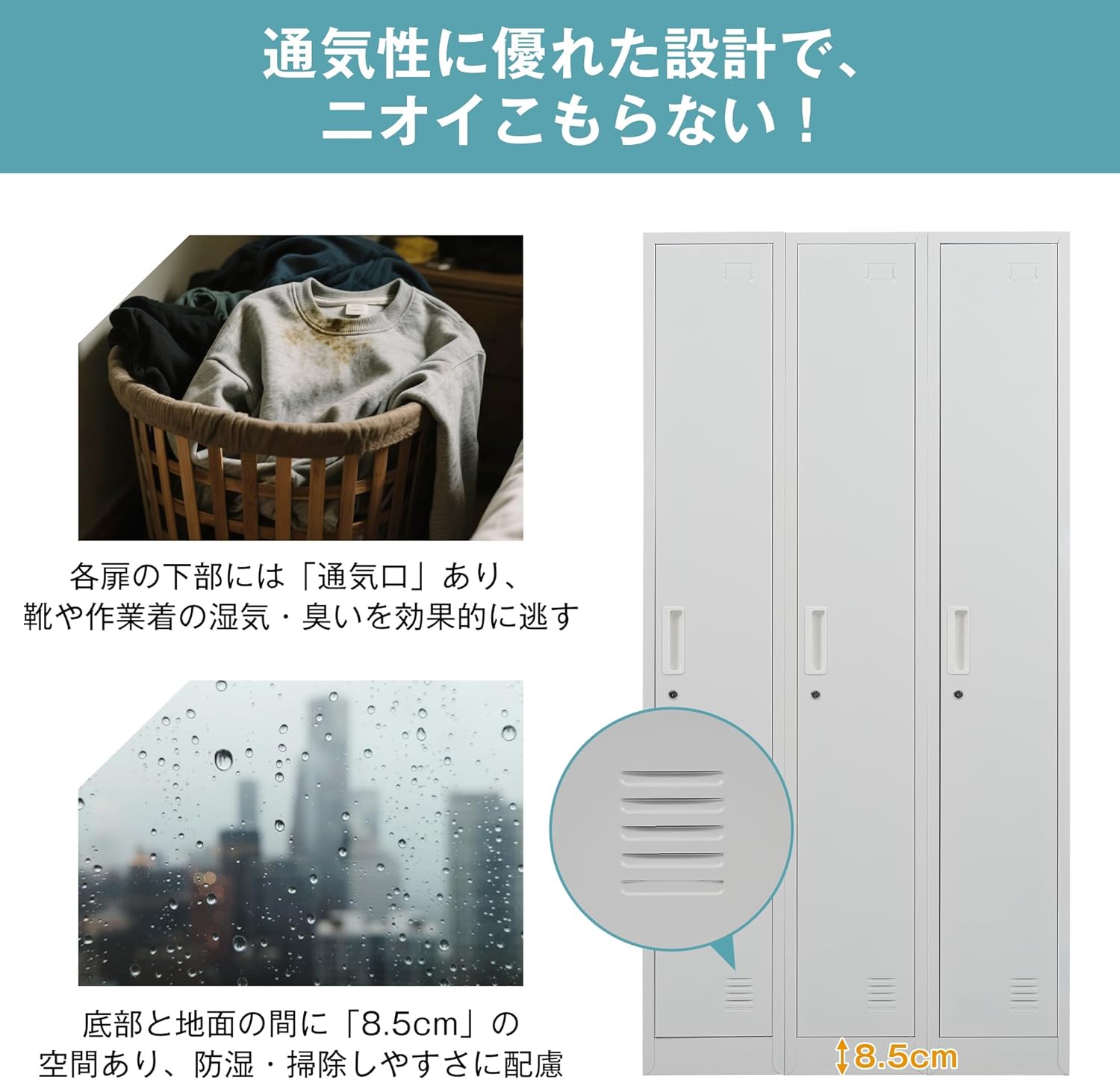 51 天然山採り　サワフタギ 山採り サワフタギ サワフタギ: web版 鳥取県植物誌 山採りサワフタギ /193