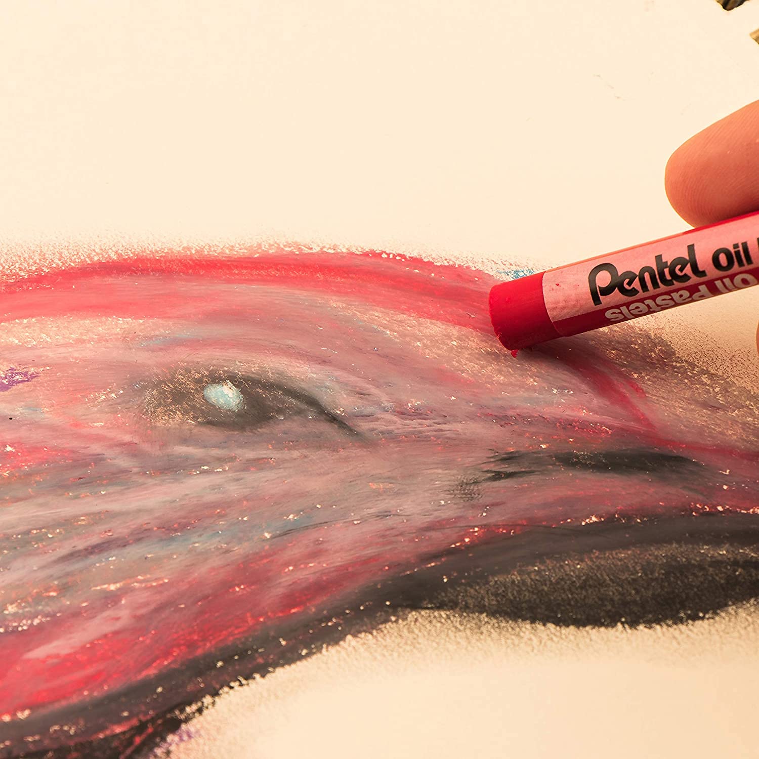 Pentel Artes, pasteles al óleo, juego de 25 colores, 12 paquetes (1 docena), paquete a granel, colores surtidos