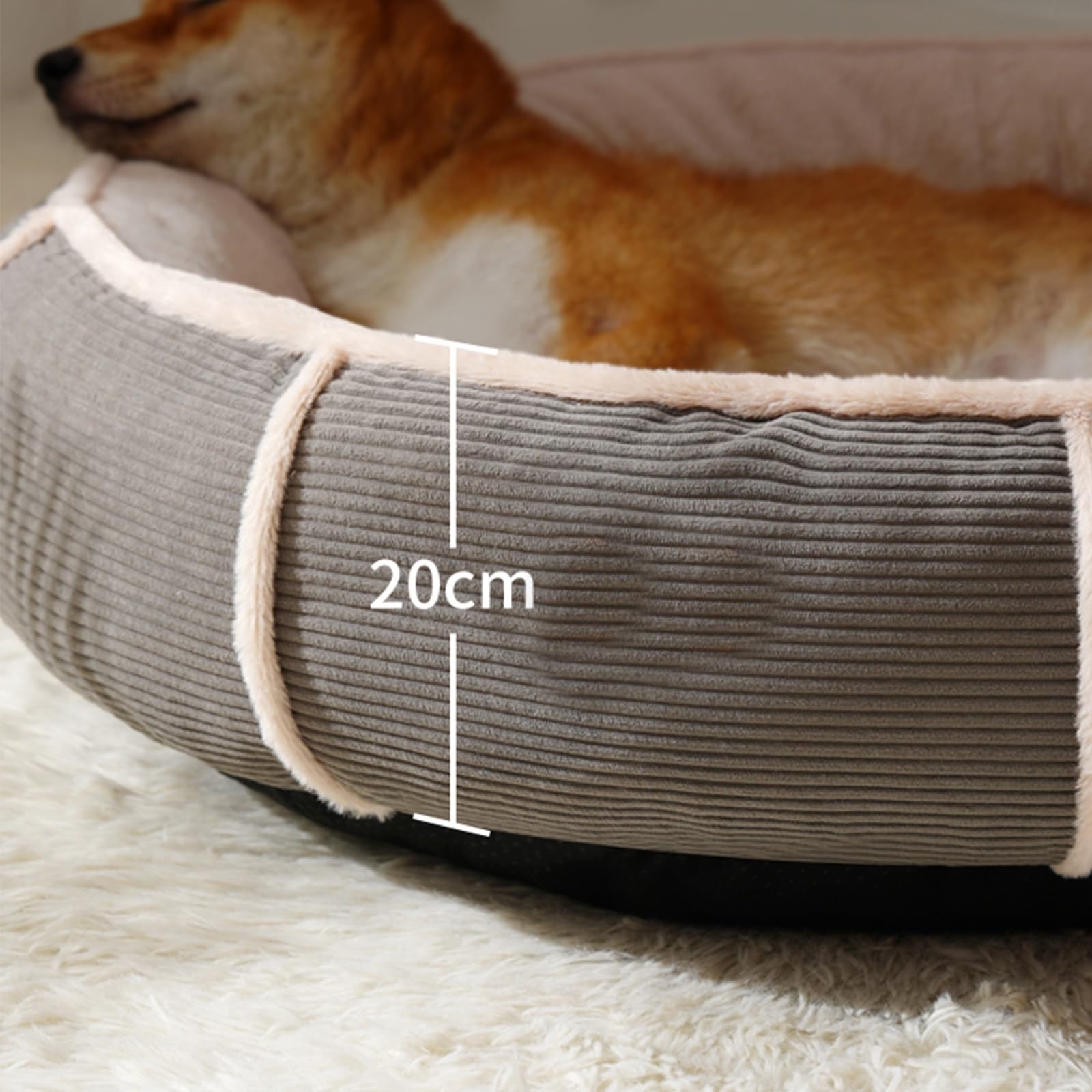 Cuccia for Gatti Cuccia Gatto Letto for Cani Rotondo Ciambella Morbido Peluche Tondo for Animali Domestici Gatto Morbido Lettino(Green,XL 90 * 90 * 23CM)