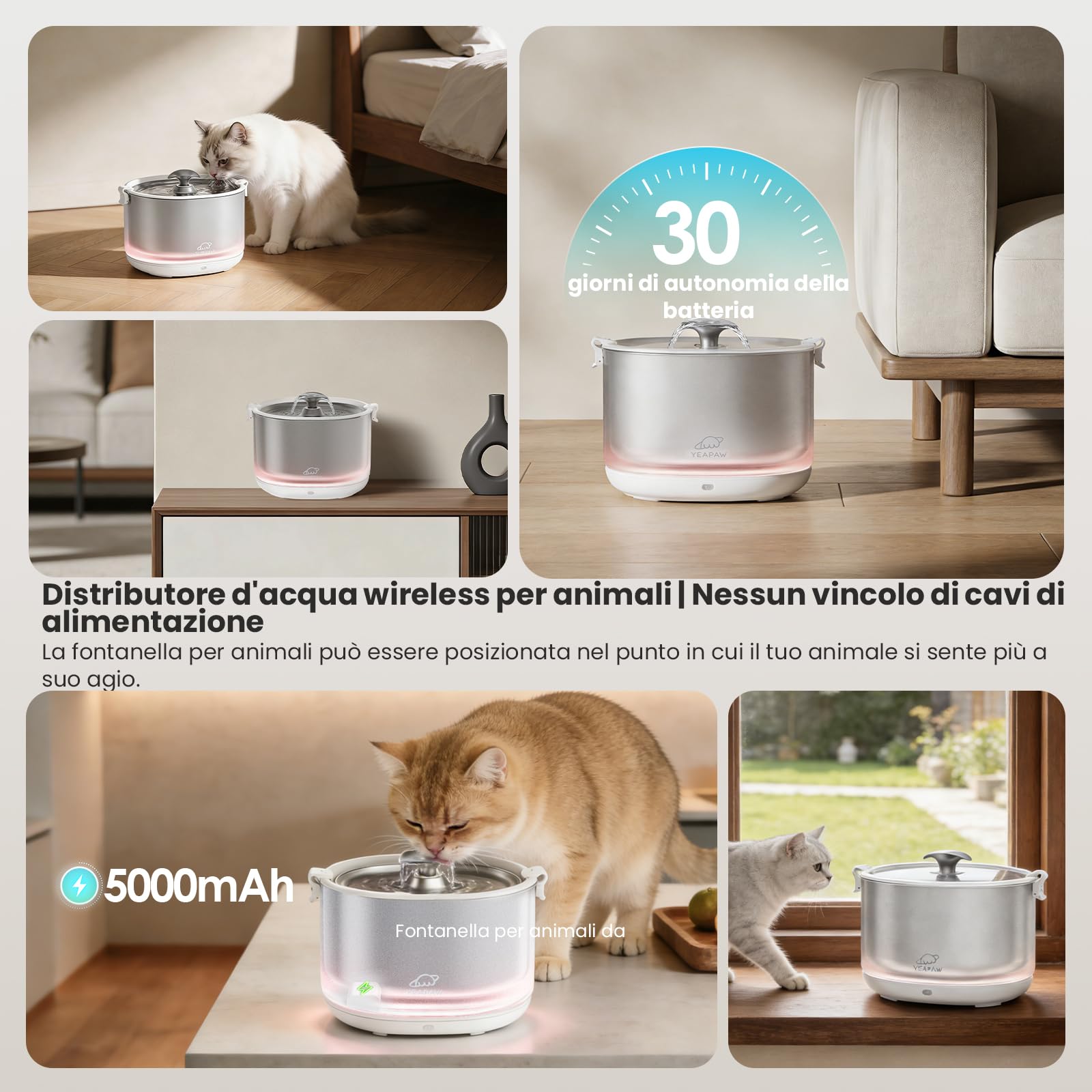 Fontaine à eau pour chat sans pompe Bac et bol en acier inoxydable Fontaine d'eau sans Fil pour animaux 2,5 L, Distributeur intérieur pour chats, Facile à nettoyer, Sans BPA, Bianc