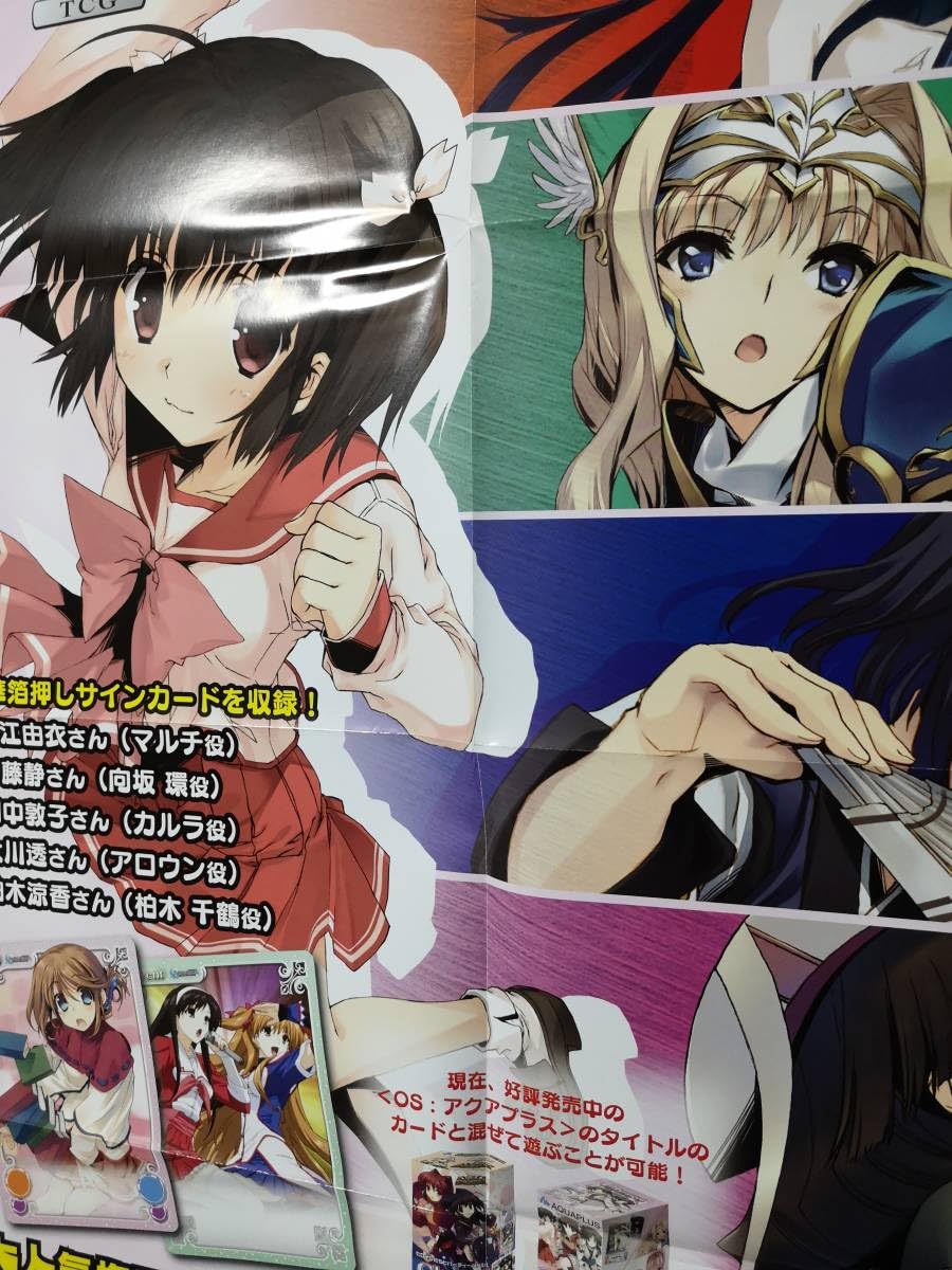 Amazon.co.jp: B2 販促ポスター ChaosTCG アクアパッツァ 枚 枚