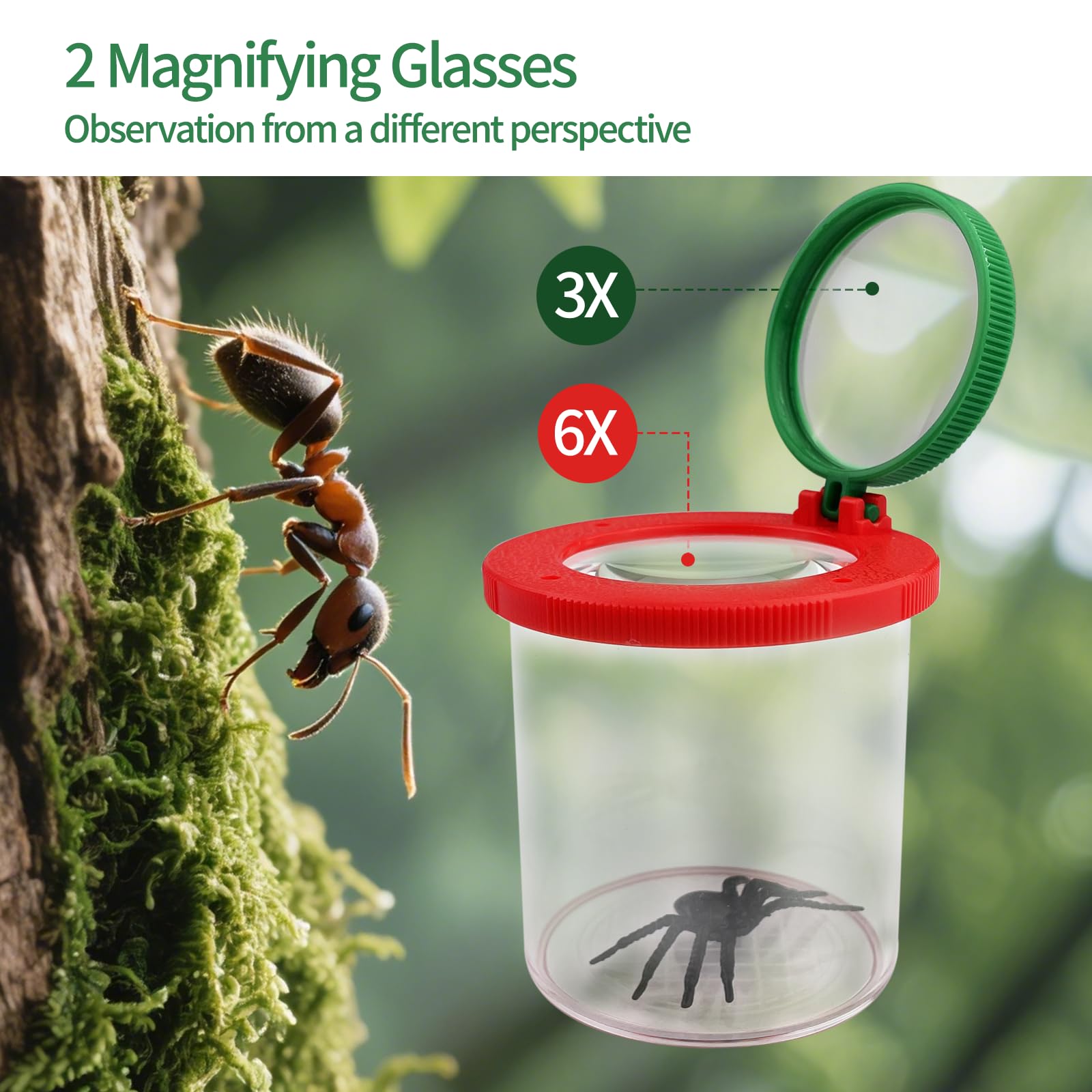 2 Pezzi Boite a Insectes Enfant, Barattolo Lente per Insetti Scatola con Pinzette, Kit Insecte Enfant Giochi di Esplorazione, Bambini Strumento Esplorazione Delle Scienze Della Natura