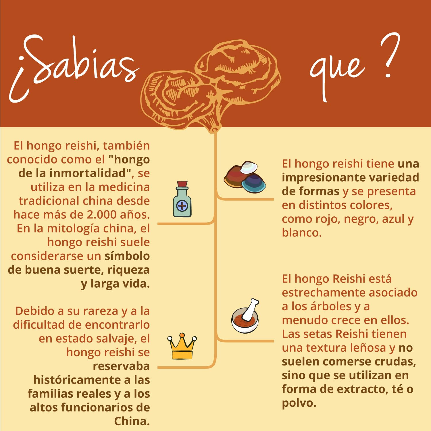Reishi Puro Vegavero | Dosis Más Alta: 13000 mg (10:1) | Con 40% Polisacáridos & 20% Betaglucanos | Ganoderma Lucidum | Sin Aditivos & Vegano | 120 Cápsulas