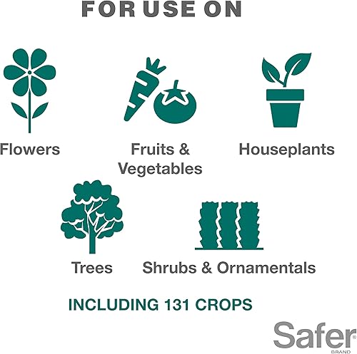 Miniatura 11 de Safer Brand 5192-6 Aerosol latente de aceite concentrado para horticultura, 1 paquete, verde, 16 oz