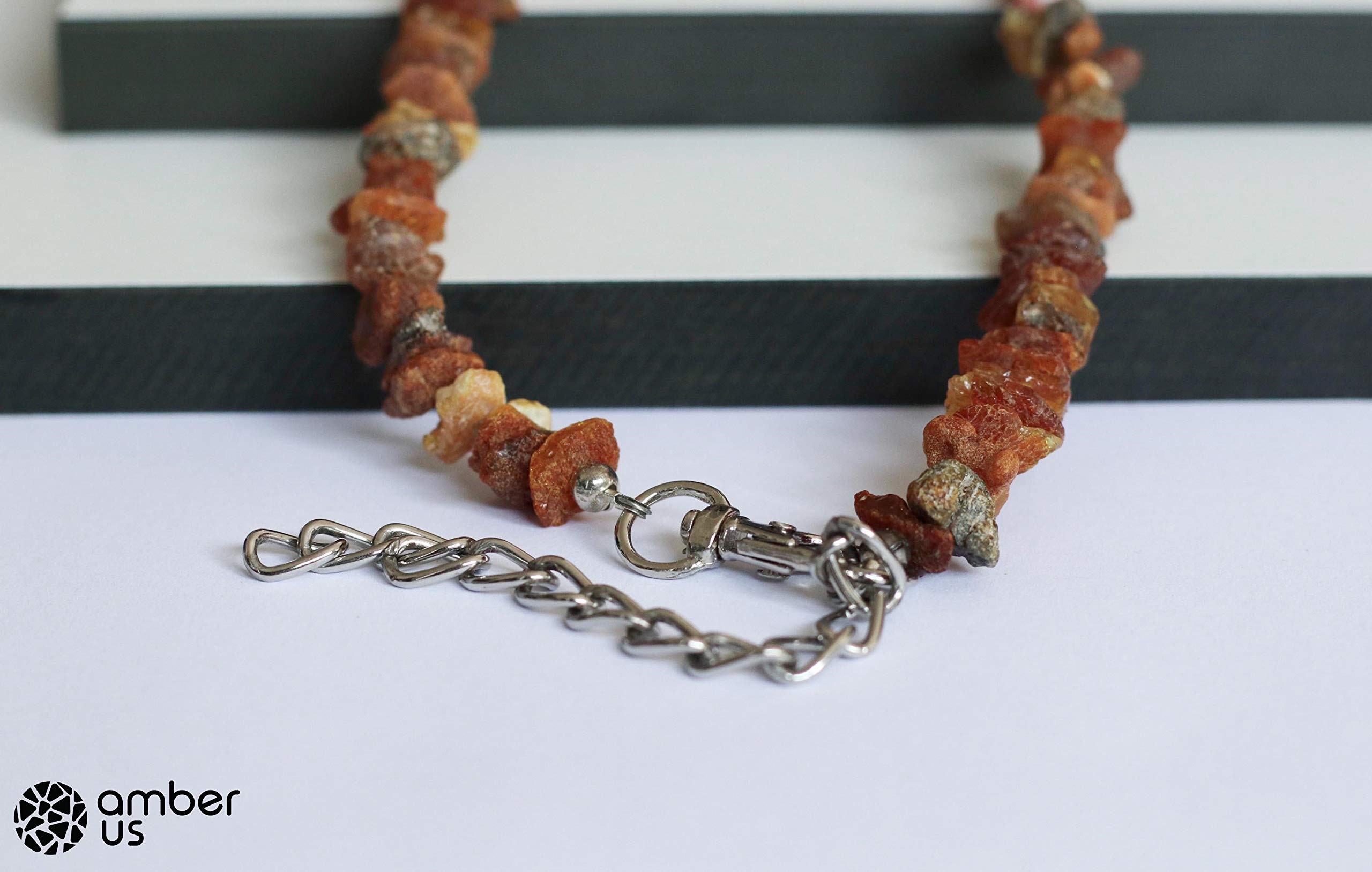 Bernsteinkette für Hunde aus Roh Baltischer Bernstein mit Rote Koralle verziert | Zeckenhalsband | Bernstein Gegen Zecken | Zecken und Flohschutz Halsband (35-40 cm)