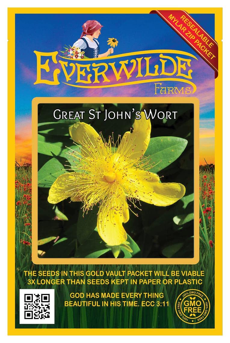 2000 Great St. John's Wort Native Wildflower Seeds - Gold Vault Seed Packet