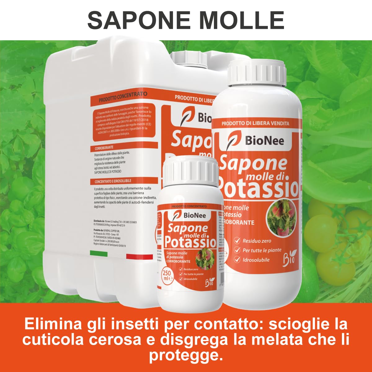 Sapone Molle di Potassio – Protezione Naturale e Biologica per Piante Sane e Rigogliose - insetticida naturale biologico - corroborante potenziatore delle difese naturali (1 litro)