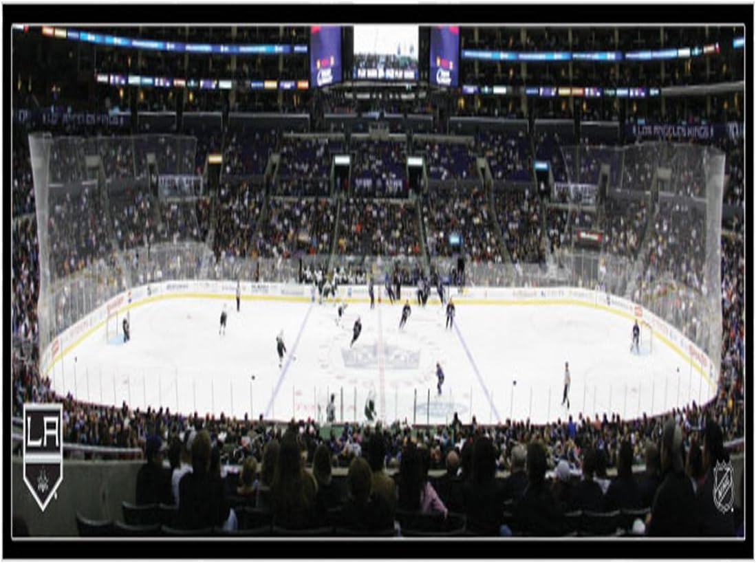 NHL Los Angeles Lakers Arena 22x28 Canvas Art