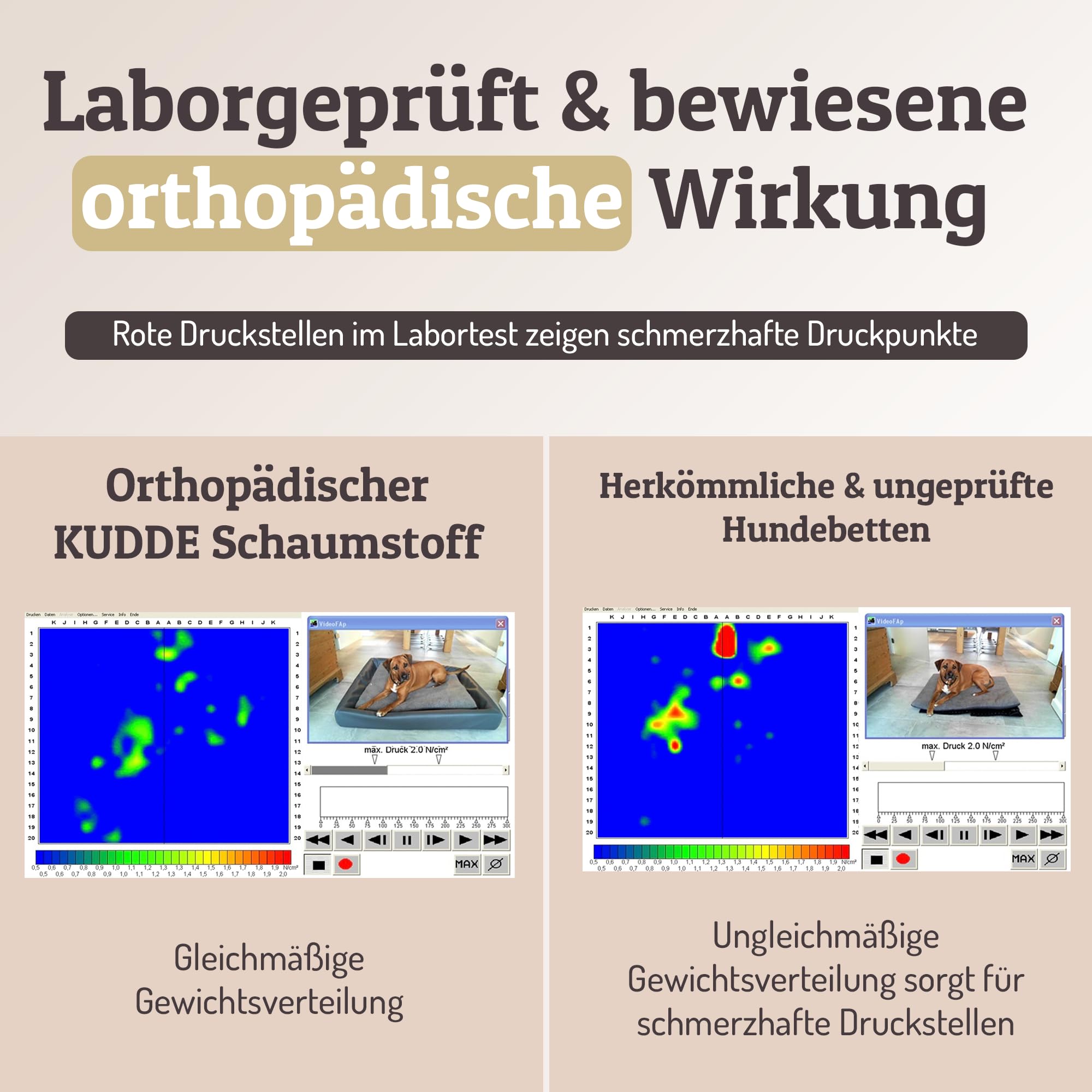 SABRO KUDDE Orthopädisches Hundebett – Martin Rütter – Hochwertige Wildlederoptik – Waschbar & Wasserabweisend – Ergonomisch – Premium Haustierzubehör für Mittelgrosse, Grosse Hunde in Dark Grey