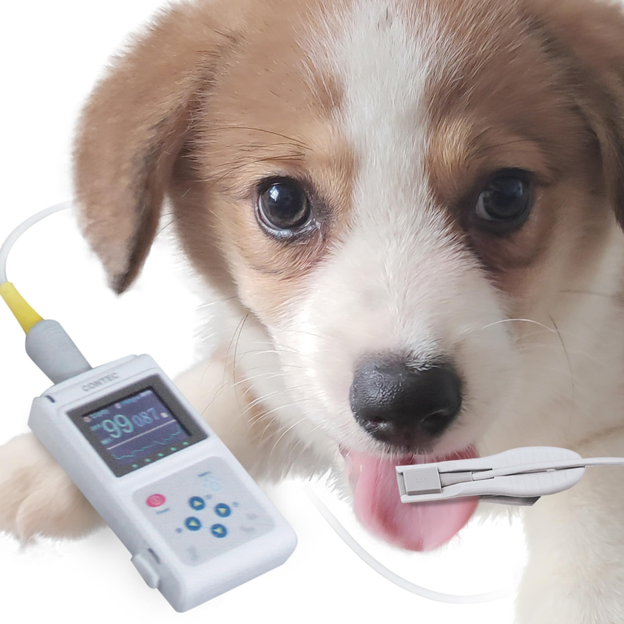 PULSOSSIMETRO VETERINARIO OXY-50 con software