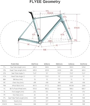 ICAN Flyee Carbon Disc Road Bike Frame Set UCI T47 BB and UHH Hanger