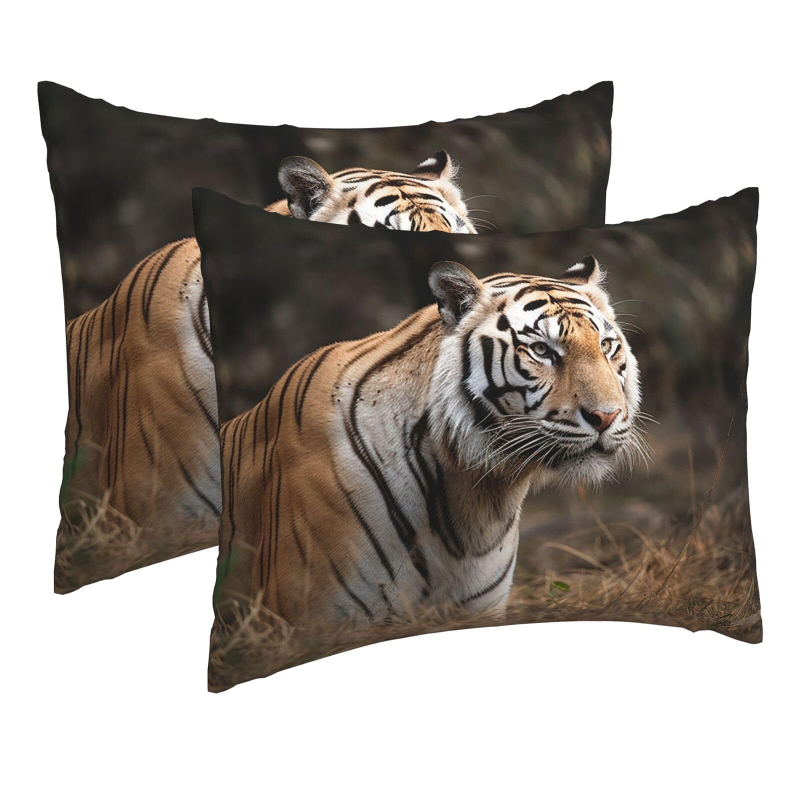 2 Pack Pillow Cases with Hidden Zipper, Soft Breathable Pillow Covers for Hair and Skin, Wildlife Tiger Pillowcases 16"x20" Bed Pillow Protectors Cover for Sleeping Gifts