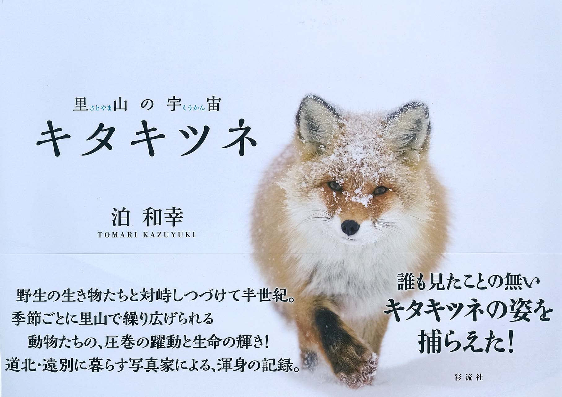 Amazon.co.jp: 里山の宇宙 キタキツネ : 泊 和幸: 本