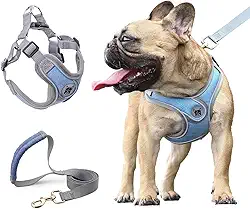 Coleira Peitoral para Cachorros, Peitoral para Cachorros Pequenos, Coleiras Ajustáveis, Peitorais e Guias para Cães, para Treinamento e Corrida, Cães Pequenos, Médios e Grandes (M)