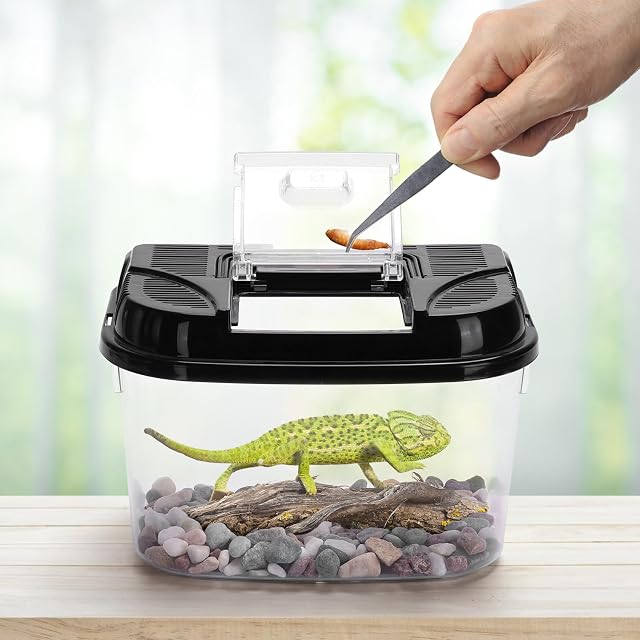Foto 2 de 3 de Nobleza Caja de Alimentación de Reptiles y Anfibios,Terrario de Plástico Transparente