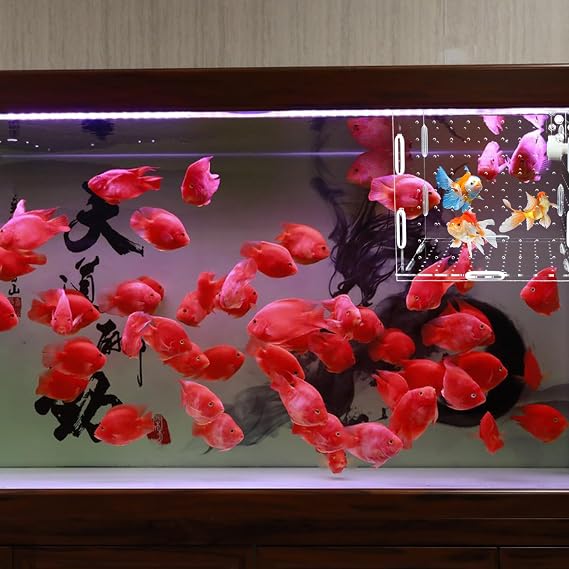 Acrylic Fish breeding Box, Transparent Fish Isolation Box, Fish Separation Box for Aquarium, Hatchery Incubator with Suction for Shrimp Guppy Clownfish Small Fishes (15x 15 x 15CM)