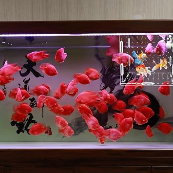 Acrylic Fish breeding Box, Transparent Fish Isolation Box, Fish Separation Box for Aquarium, Hatchery Incubator with Suction for Shrimp Guppy Clownfish Small Fishes (15x 15 x 15CM)