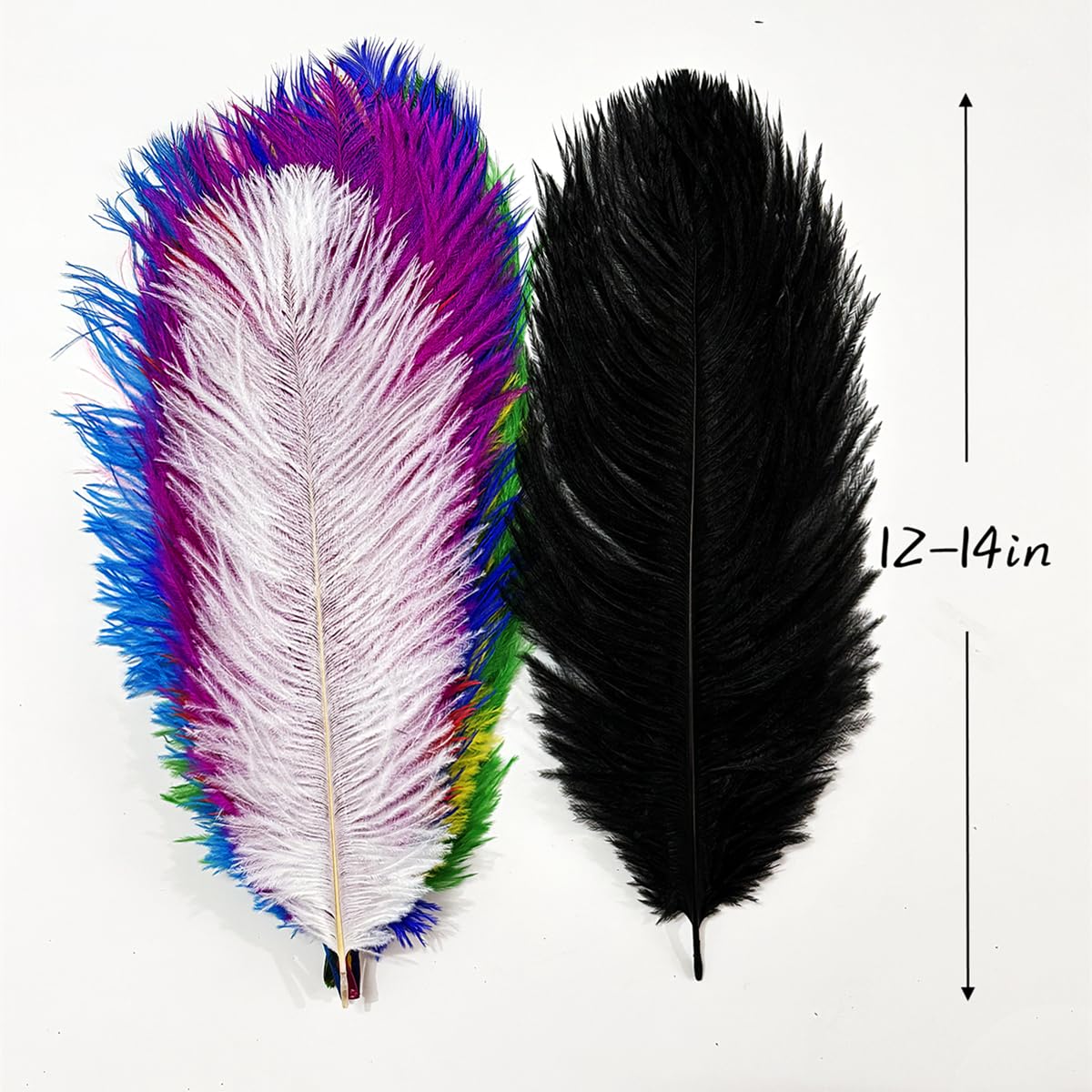 Lot de 10 plumes d'autruche brunes blanchies et teintées mesurant 11-13 Lot de 10 plumes d'autruche brunes blanchies et teintées mesurant 11-13