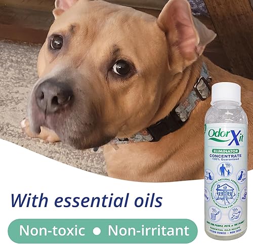 Miniatura 4 de Eliminador concentrado de olores de orina de mascotas, ideal para gatos, perros y olor a orina, neutralizador de olores versátil y natural para uso