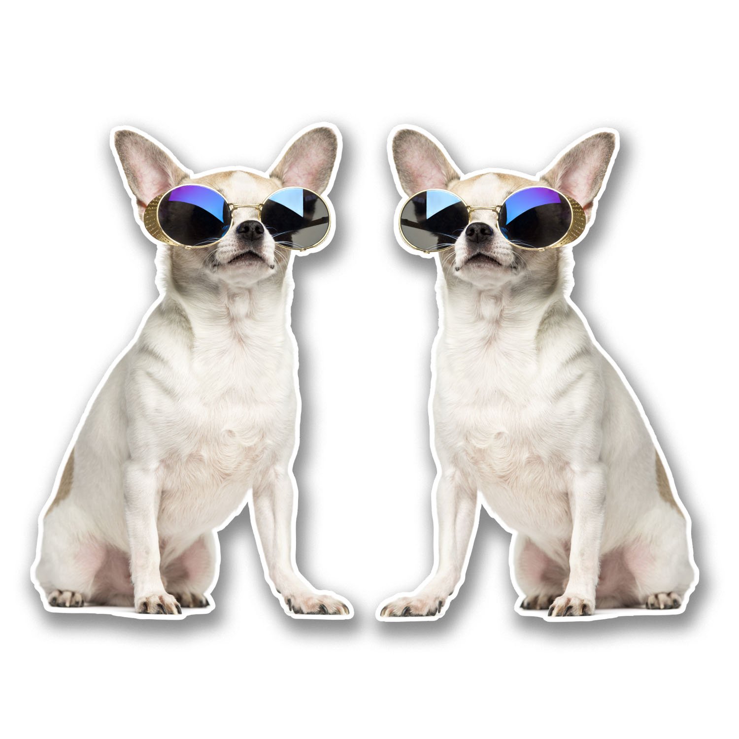 2 x 10cm Chihuahua Vinyl Sticker Decal Laptop Tablet Car Dog Animal #6304 (6.5cm Wide x 10cm Tall)