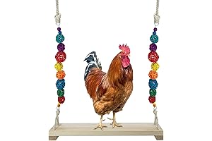 Chicken Swing: The Ultimate Perch for Poultry Paradise