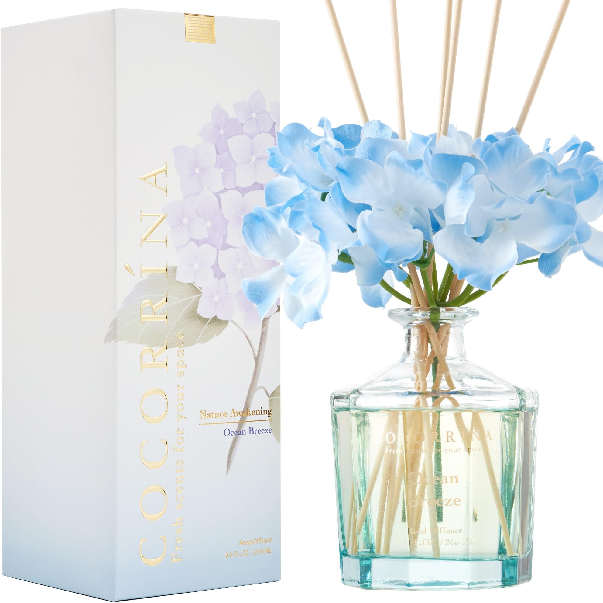 COCORRÍNA Reed Diffuser - Ocean Breeze 8.5oz Glass Flower Reed Diffuser with 8 Sticks, Home Fragrance for Bedroom Office Bathroom Decor