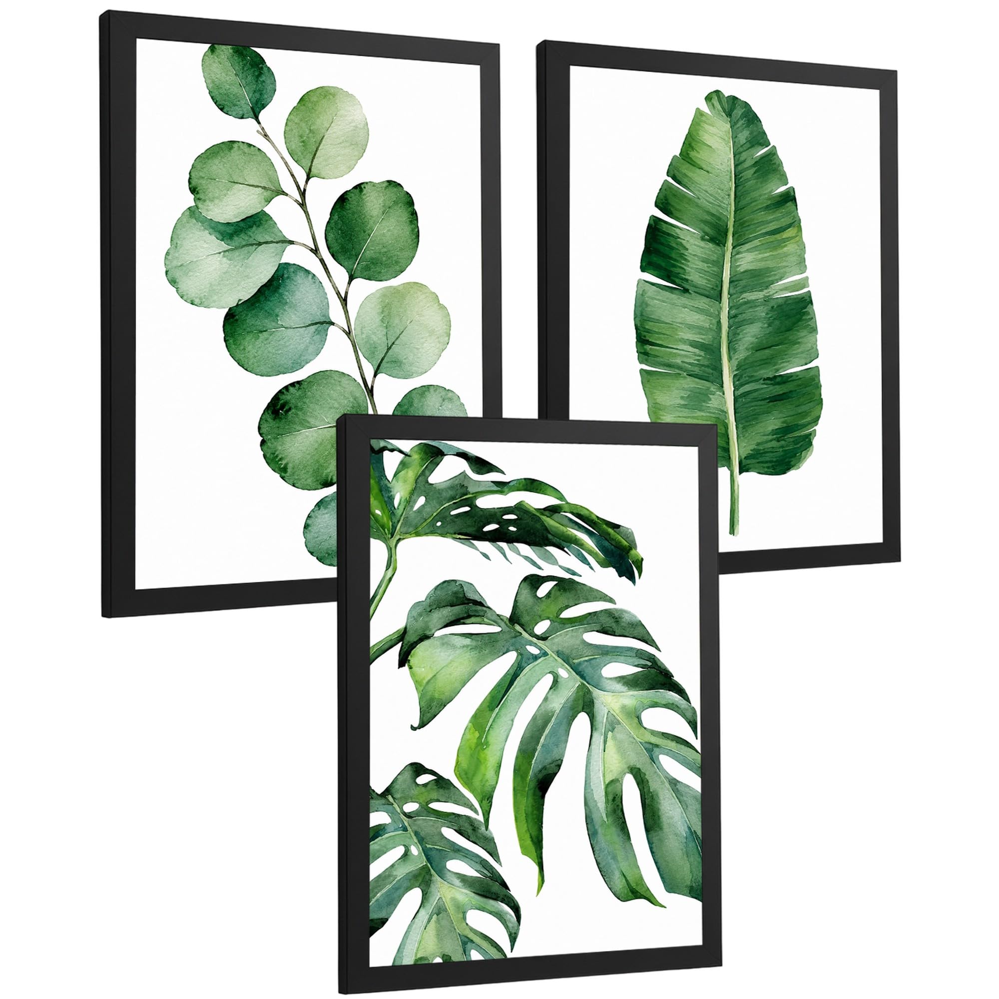 Nacnic Tropical Botanical Posters with Eucalyptus, Banana and Monstera