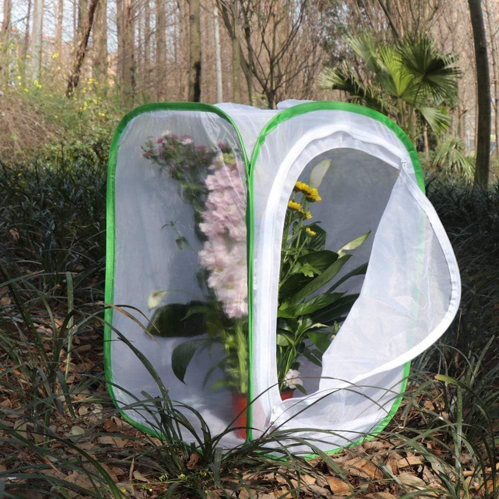 Lot de 2 cages à insectes et papillons pour terrarium 40 x 40 x 60 cm