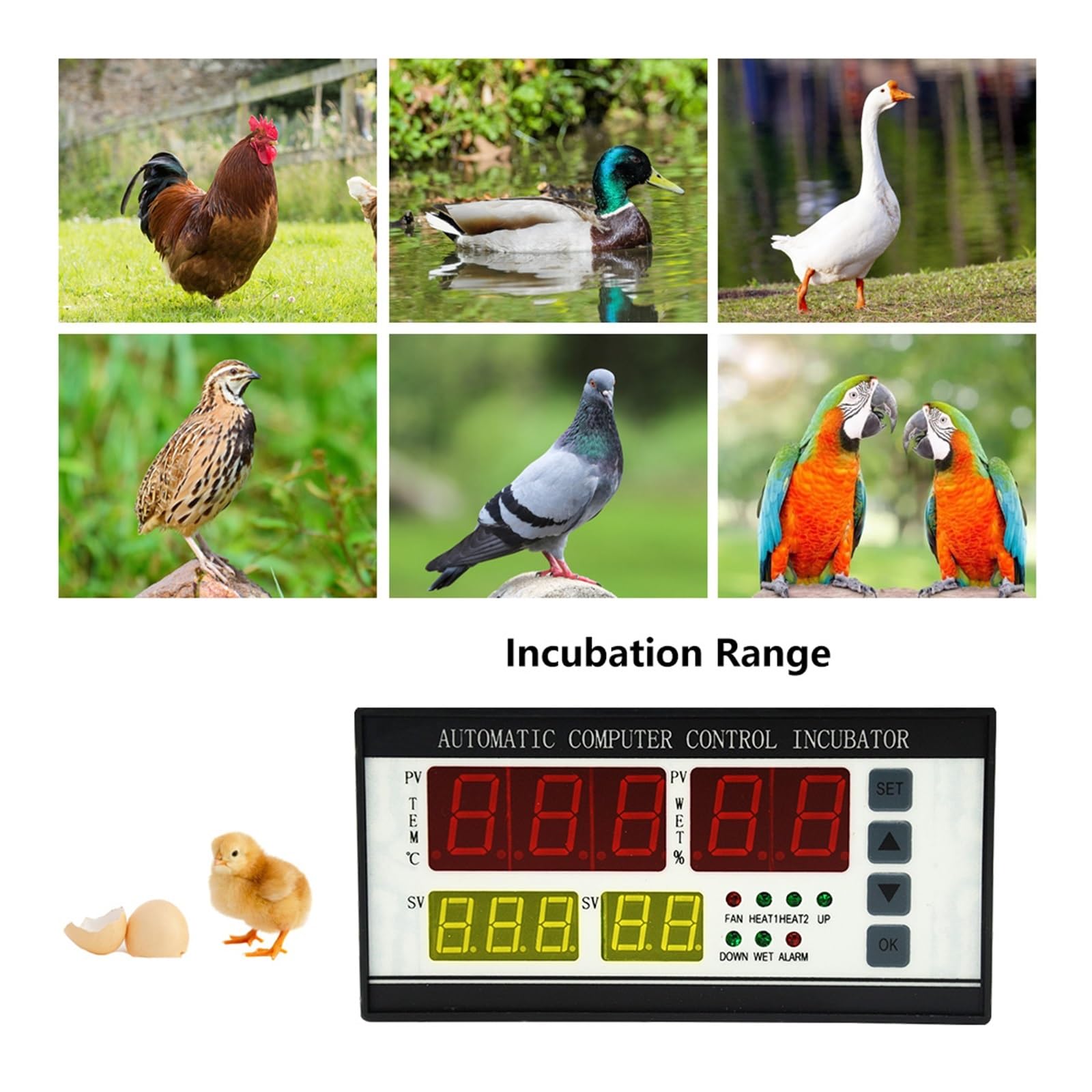 Kontroler Temperatury, XM 18 Kontroler Inkubator, W pełni Inteligentny, Czujnik Temperatury Wilgotności, Kontroler, Jajko Kaczki, Dom, Przemysł Jajko Wylęgowe XM18