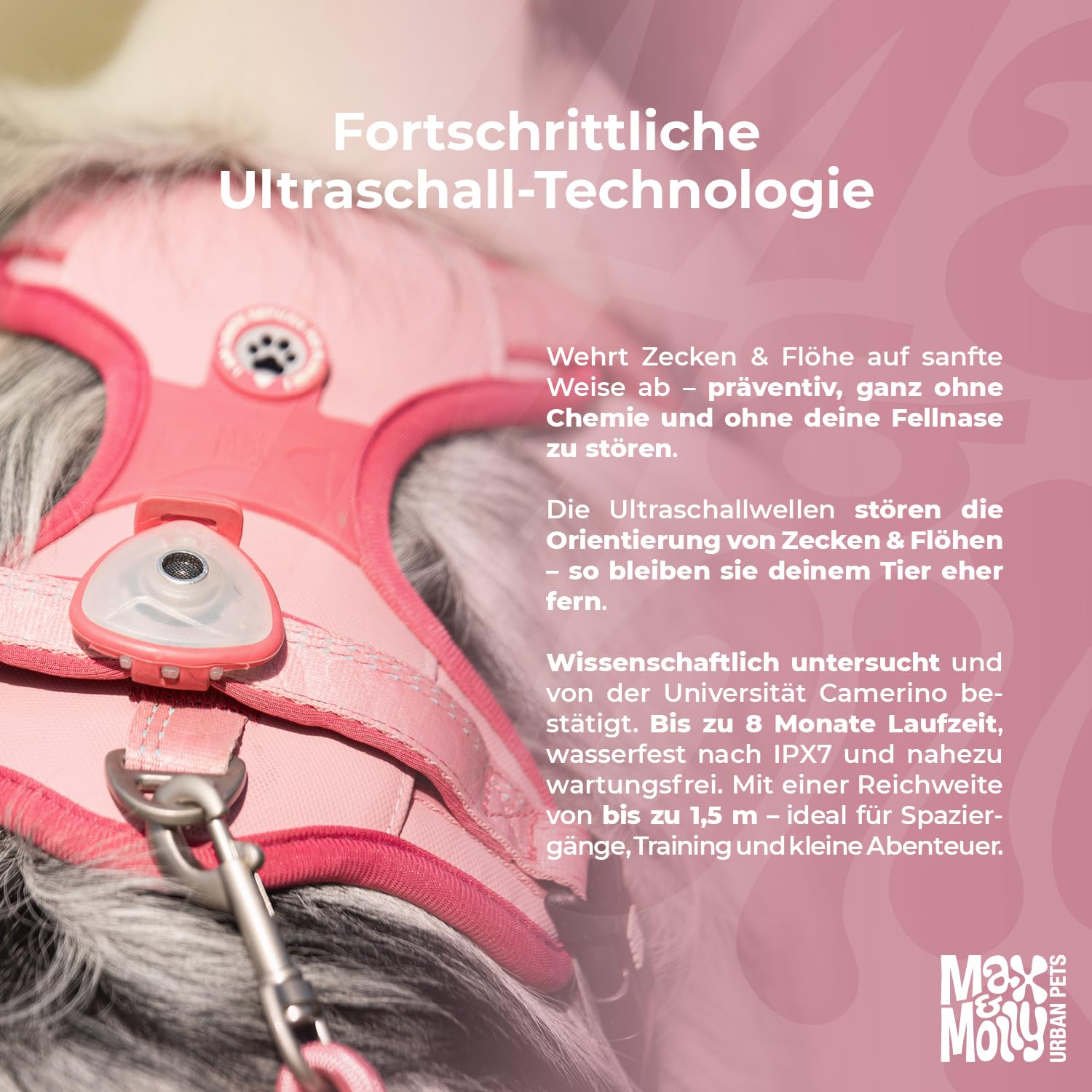 Max & Molly Soundshield – Ultraschall-Clip für Hunde jeder Größe – Ocean | geräuschlos & chemiefrei, an Halsband oder Geschirr befestigbar