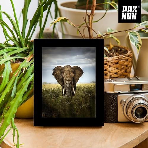 Miniatura 7 de Juego de 6 marcos negros de 8 x 10 pulgadas, para exhibición de 5 x 7 pulgadas con paspartú o de 8 x 10 pulgadas sin paspartú, marco de fotos,