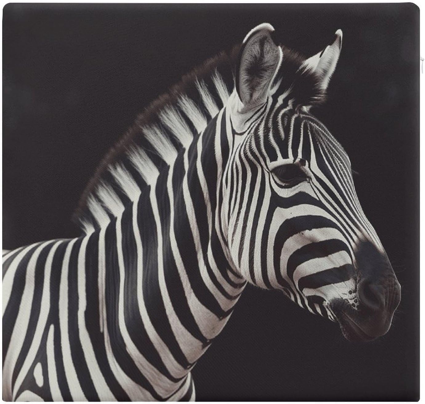 Animal Zebra Chair Cushion Memory Foam Breathable Chair Pads Square Large Pillows Seating Comfort Meditation Floor Pillow Car Seat Cushion for Indoor/Outdoor Chairs