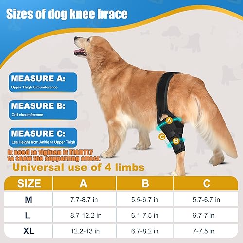Miniatura 2 de Rodillera para perro para cadera y desgarro, CCL ACL, alivio del dolor de artritis, rótula luxante, mejora la flexibilidad, ligera, transpirable,