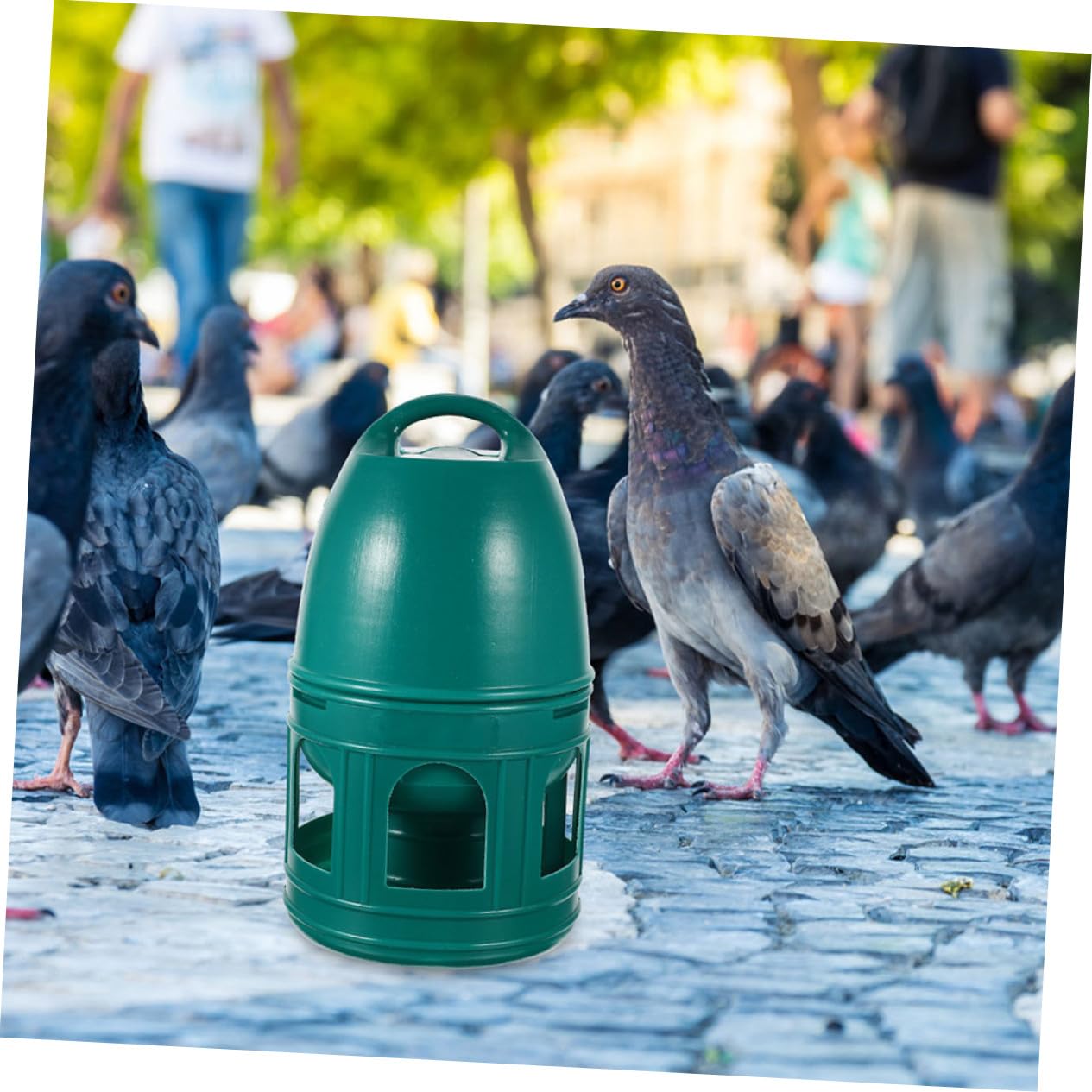Mobestech Taubentränke aus Kunststoff mit Tragbarem Design 2 Stück zur Wasserversorgung Vogelkäfigzubehör für Brieftauben für Vogelkäfige und Garteneinsatz