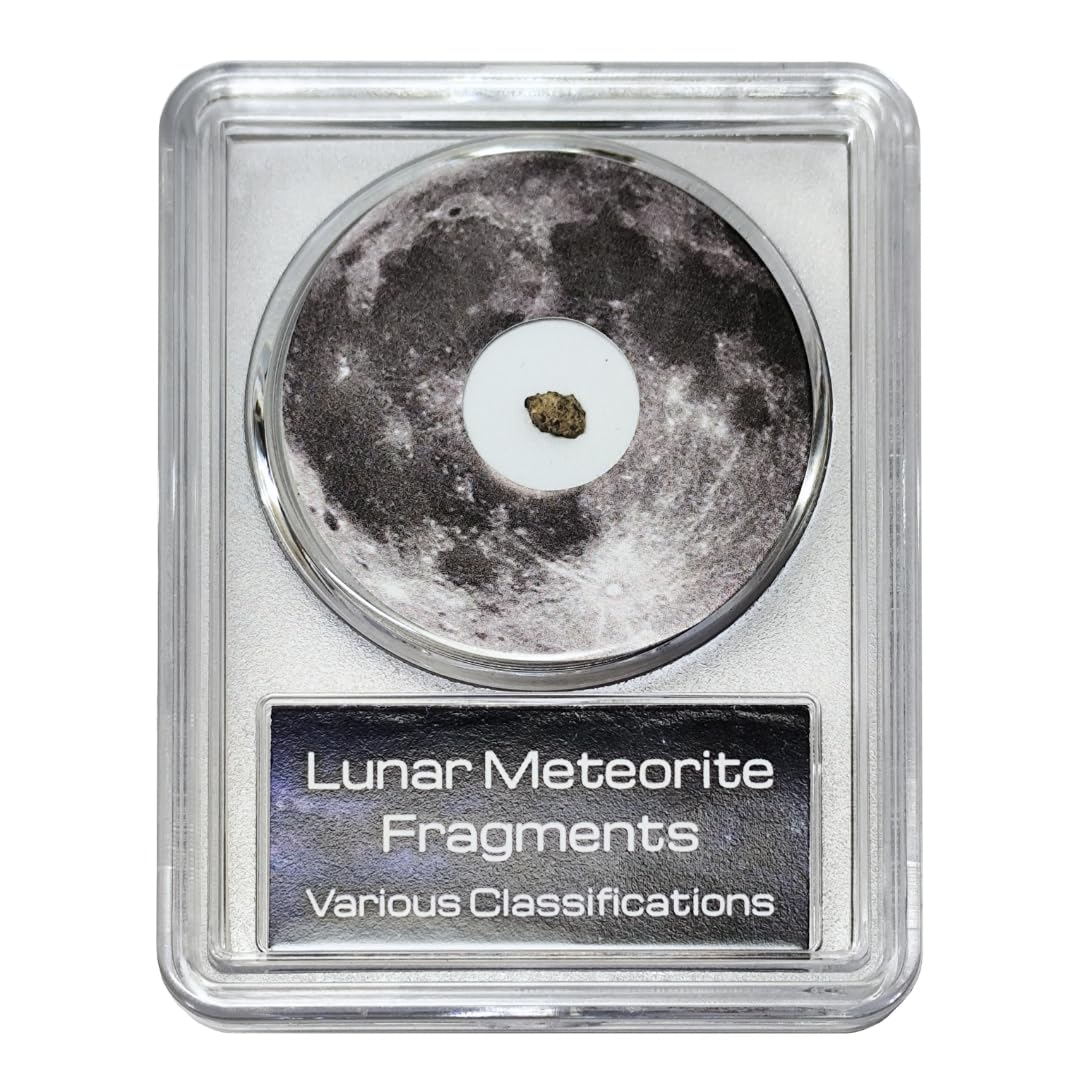 Amazon.co.jp: つくしサイエンス 月隕石 月の石 公式隕石名