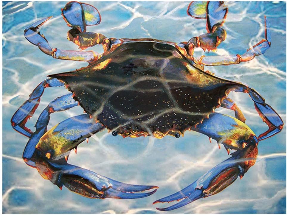 Aphila 5D Diamond Painting Kits for Adults and Beginner Full Drill Round Resin Rhinestone Embroidery Diamond Cross Stitch Arts Craft Supply Home Decor Gift 10x12inches,Colorful Crab