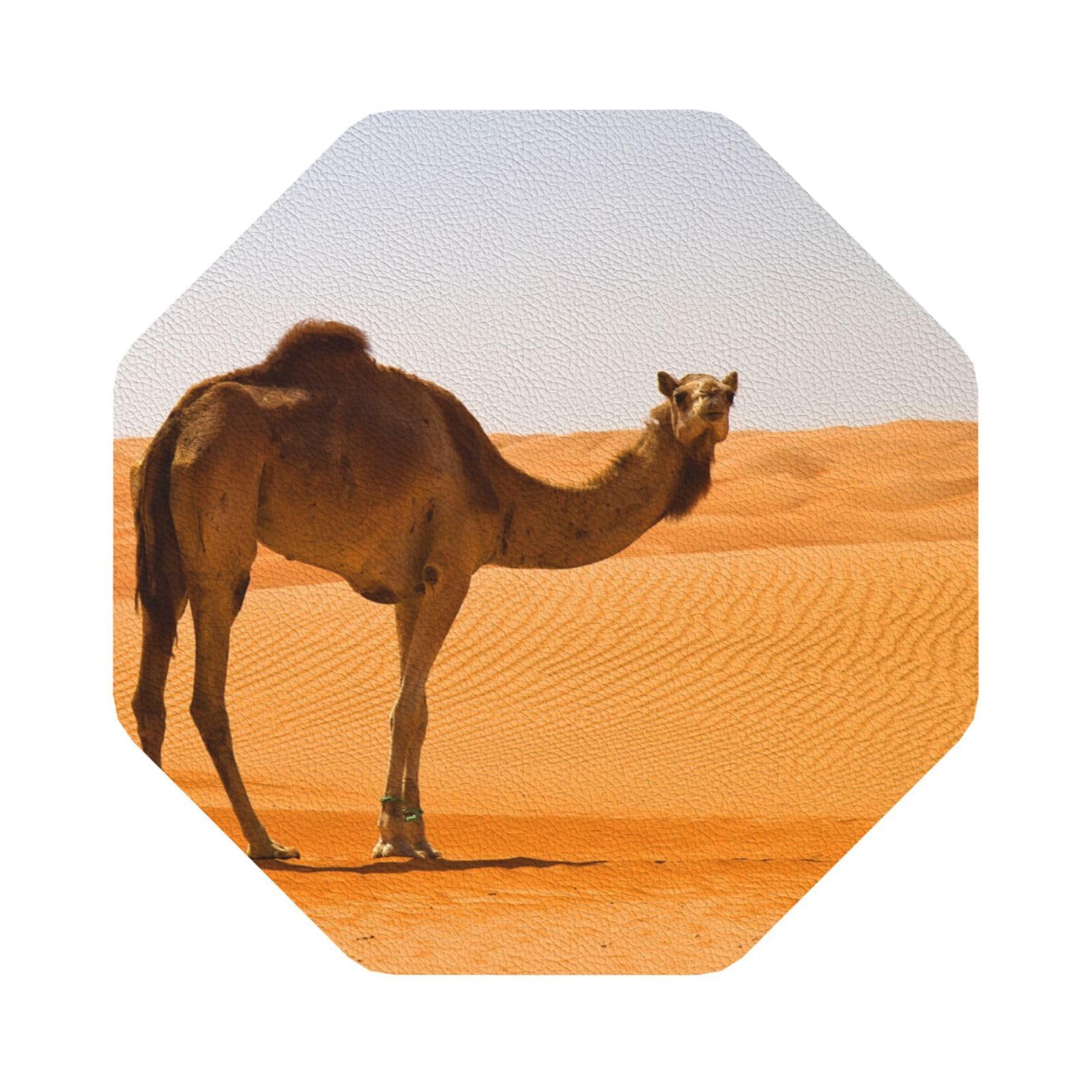 Desert Sand Camel PU Leather Coasters Set of 6 Octagon Drink Coasters