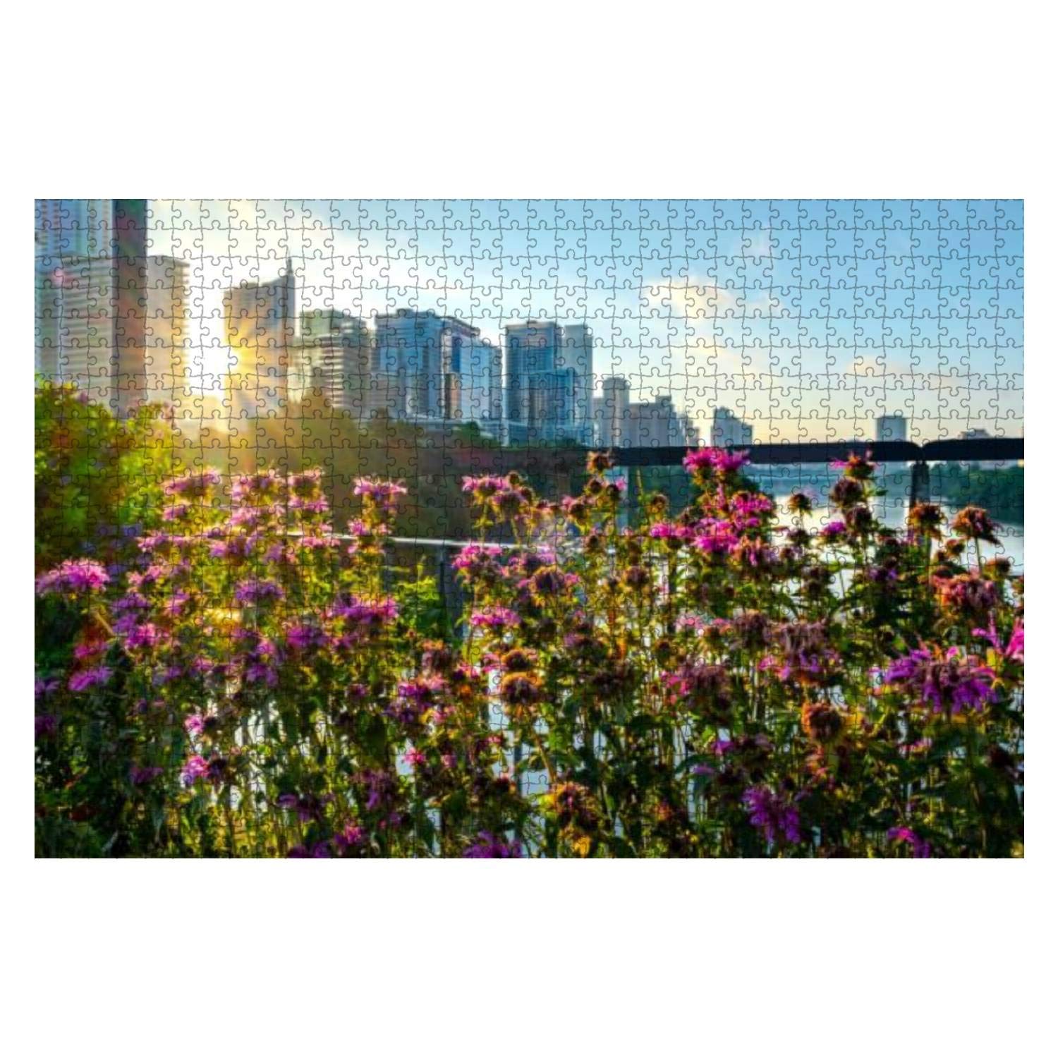 Austin Texas skyline 1000 Pieces Wooden Jigsaw Puzzles for Adults Decompression DIY Children Educational Puzzles Creative Games Toys Gift Home Decor