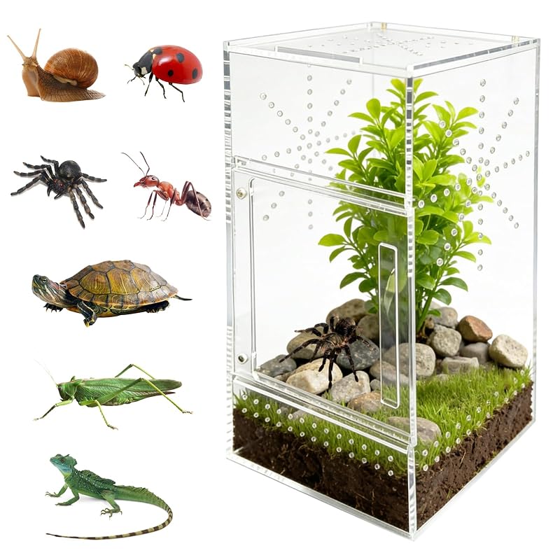 Terrário para Aranhas-Saltadoras em Acrílico Transparente com Porta Magnética Dupla EWENKCCI – 15,0 x 15,0 x 30,0 cm