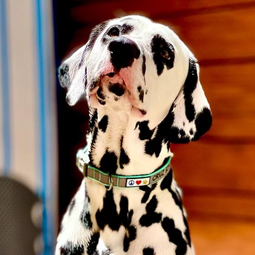 Miniatura 3 de Pawtitas Collar de perro personalizado acolchado de camuflaje collar de perro reflectante collar de perro collar de cachorro collar de perro de