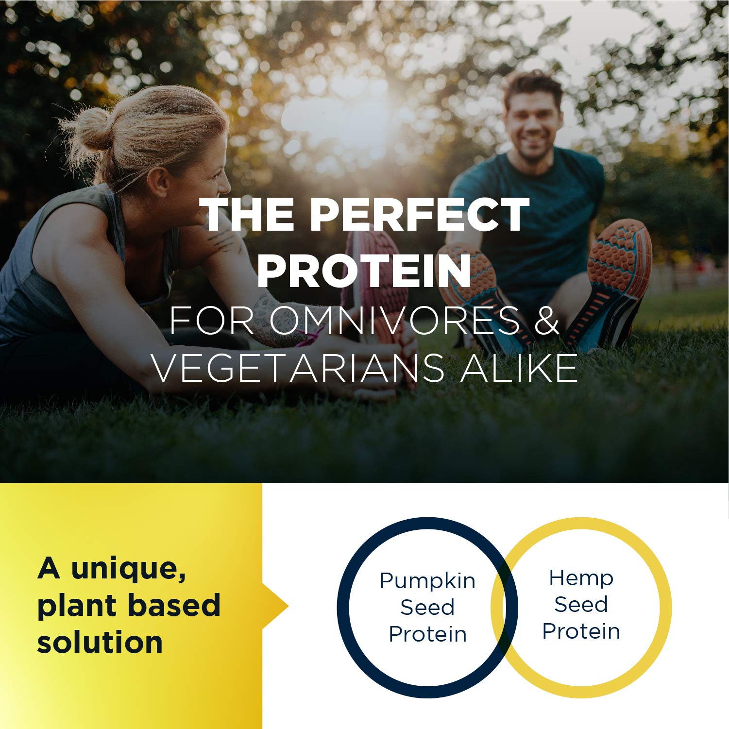 Buy Designs for Health KTOBAR Keto Protein Bars 15g Fat, 2g Net