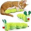 Speedy Panther Cat Catnip Toy for Indoor Cats, Cat Chew Toy for Teeth Cleaning, Bite-Resistant Plush Caterpillar Design, Dental Health Benefits, Green