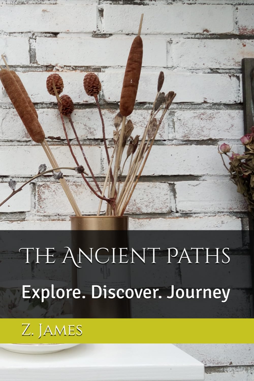 The Ancient Paths: Explore. Discover. Journey