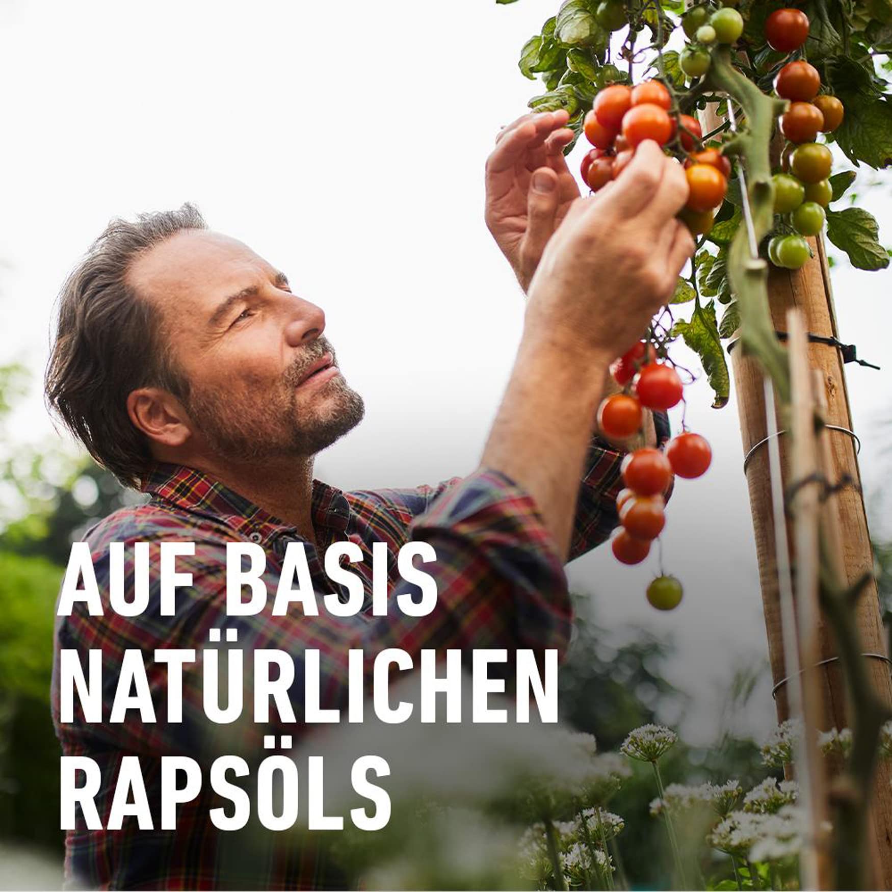 Compo Nativert Blattlaus-frei 500ml : Amazon.de: Garten