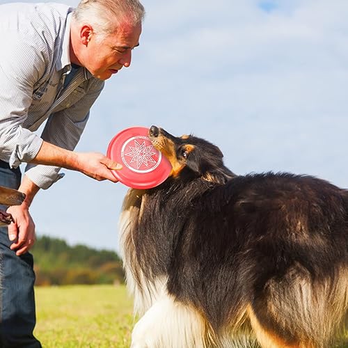 Miniatura 7 de Eastgoing Ultimate Flying Disc - Disco deportivo de 6.17 oz, 10.75 pulgadas, un montón de colores disponibles, adecuado para competiciones, disco